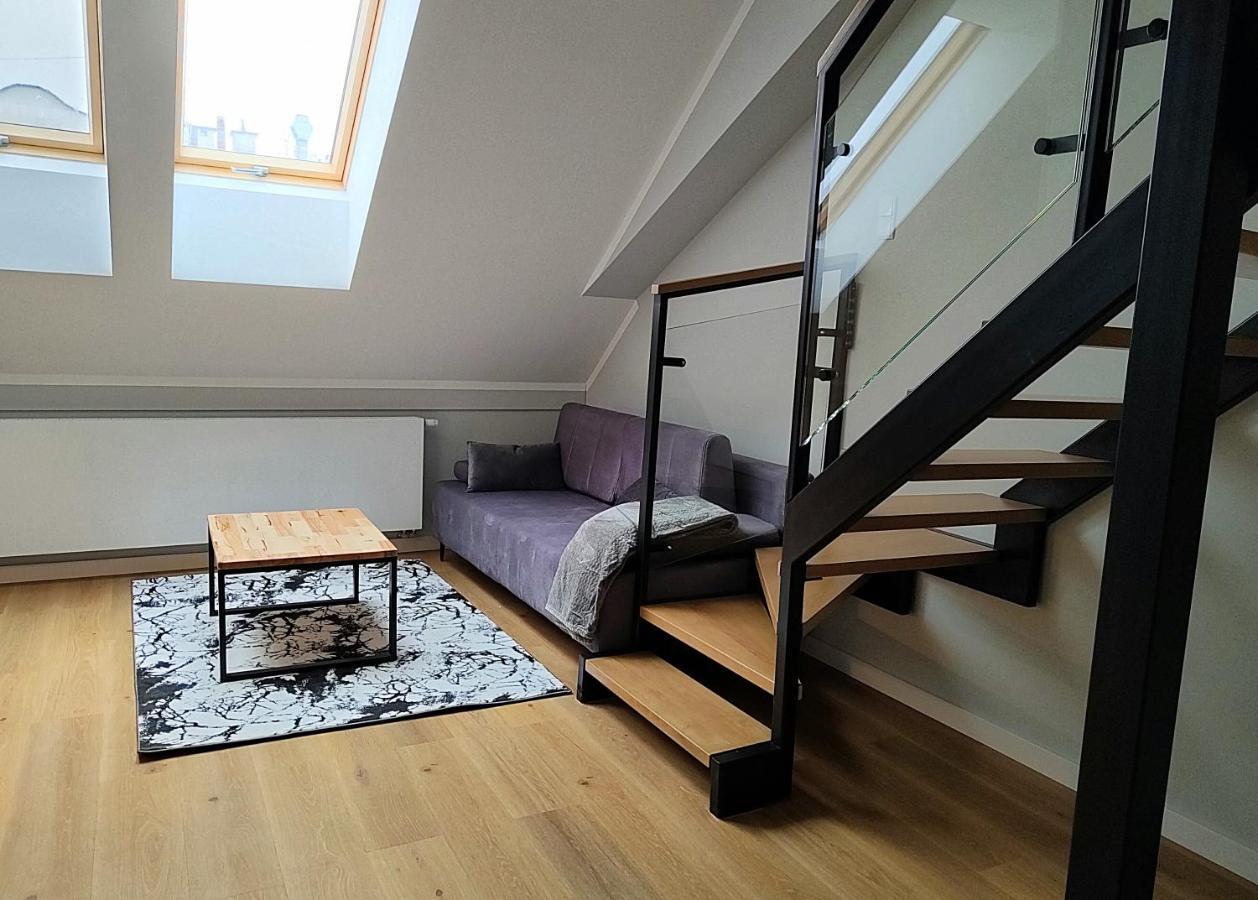 Hugo Vip Apartments 克拉科夫 外观 照片